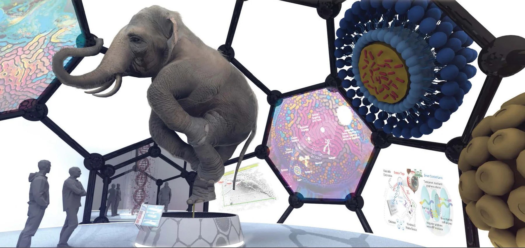 Museum concepts — project image 6